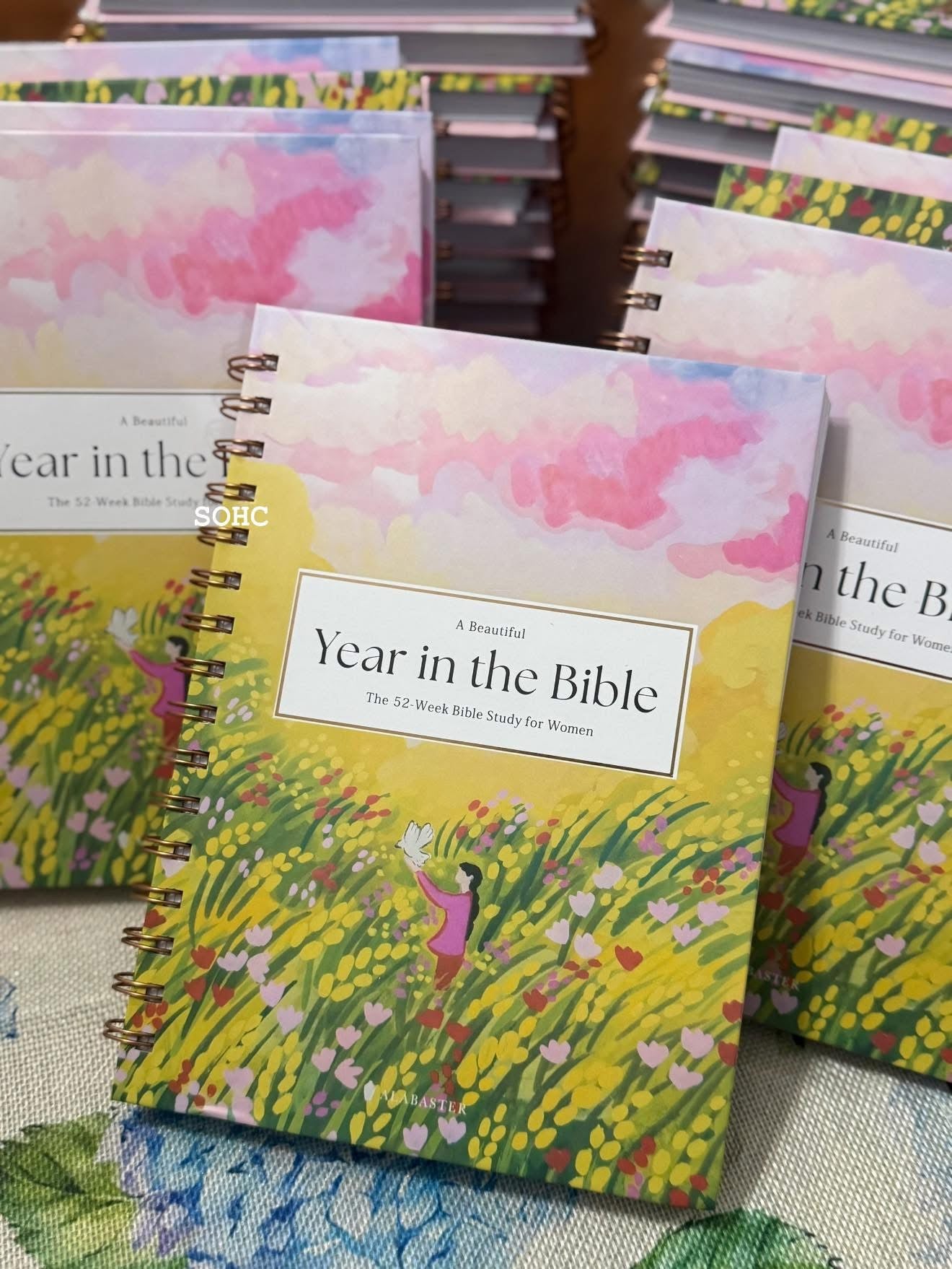 Year in the Bible