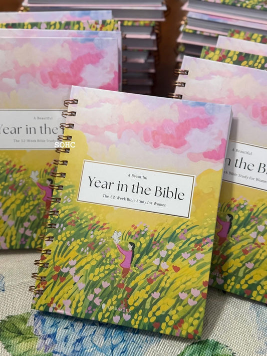 Year in the Bible
